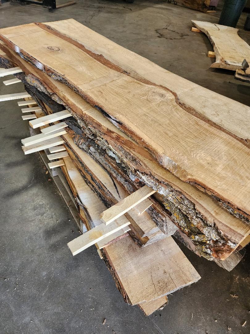 Tree Slab 9 In Tylers Tree Service Shop – Twigs to Timbers